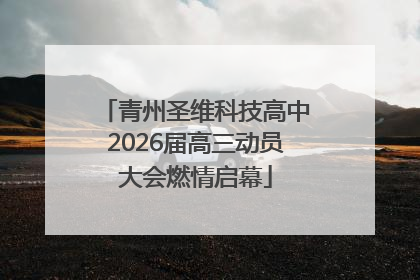 青州圣维科技高中2026届高三动员大会燃情启幕