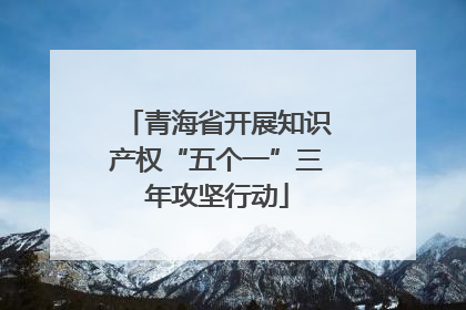 青海省开展知识产权“五个一”三年攻坚行动