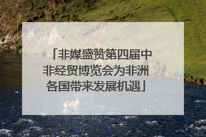 非媒盛赞第四届中非经贸博览会为非洲各国带来发展机遇