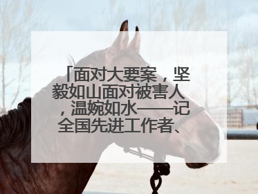 面对大要案，坚毅如山面对被害人，温婉如水——记全国先进工作者、上海市检察院经济犯罪检察部主任马玮玮