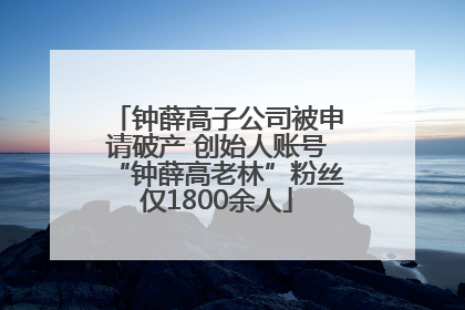 钟薛高子公司被申请破产 创始人账号“钟薛高老林”粉丝仅1800余人