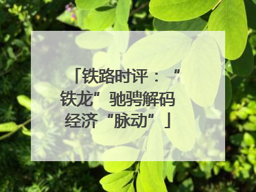 铁路时评：“铁龙”驰骋解码经济“脉动”