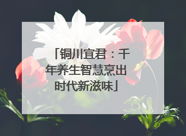 铜川宜君：千年养生智慧烹出时代新滋味