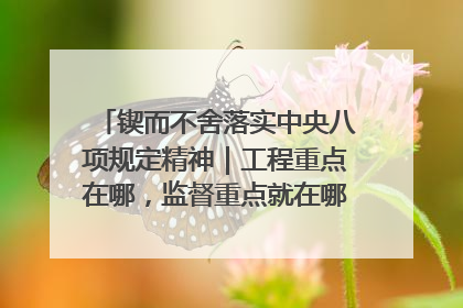 锲而不舍落实中央八项规定精神｜工程重点在哪，监督重点就在哪——广西深化政治监督护航平陆运河建设
