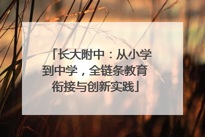 长大附中：从小学到中学，全链条教育衔接与创新实践