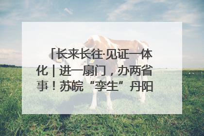 长来长往·见证一体化｜进一扇门，办两省事！苏皖“孪生”丹阳如何做到的？