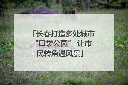 长春打造多处城市“口袋公园” 让市民转角遇风景