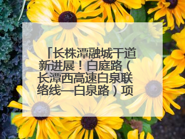 长株潭融城干道新进展！白庭路（长潭西高速白泉联络线—白泉路）项目建成