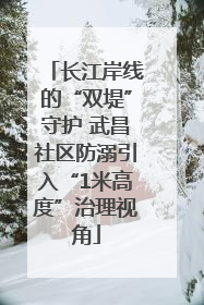 长江岸线的“双堤”守护 武昌社区防溺引入“1米高度”治理视角