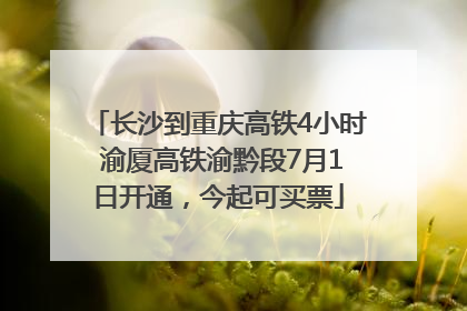 长沙到重庆高铁4小时 渝厦高铁渝黔段7月1日开通，今起可买票