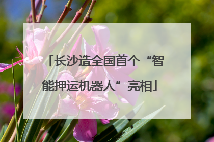长沙造全国首个“智能押运机器人”亮相