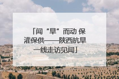 闻“旱”而动 保灌保供——陕西抗旱一线走访见闻