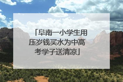 阜南一小学生用压岁钱买水为中高考学子送清凉
