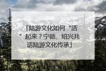 陆游文化如何“活 ”起来？宁德、绍兴共话陆游文化传承