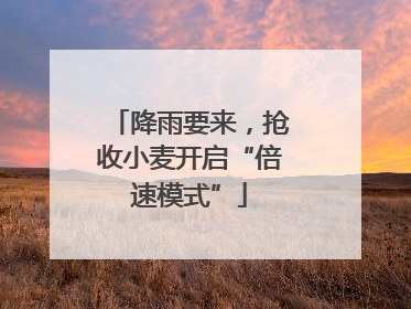 降雨要来，抢收小麦开启“倍速模式”