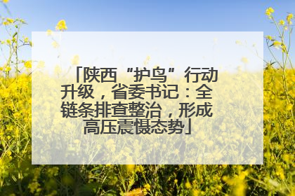 陕西“护鸟”行动升级，省委书记：全链条排查整治，形成高压震慑态势