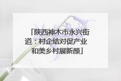 陕西神木市永兴街道：村企结对促产业 和美乡村展新颜