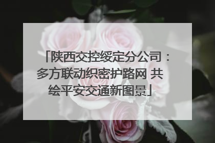 陕西交控绥定分公司：多方联动织密护路网 共绘平安交通新图景