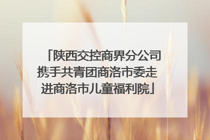 陕西交控商界分公司携手共青团商洛市委走进商洛市儿童福利院