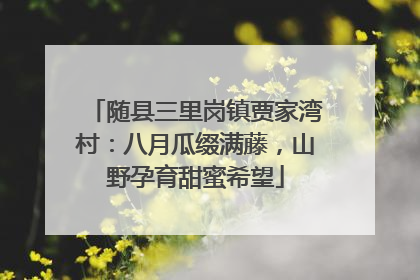 随县三里岗镇贾家湾村：八月瓜缀满藤，山野孕育甜蜜希望