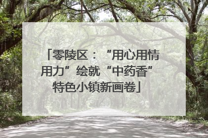 零陵区：“用心用情用力”绘就“中药香”特色小镇新画卷