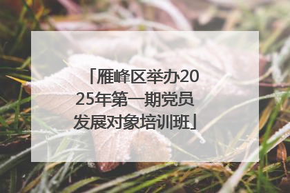 雁峰区举办2025年第一期党员发展对象培训班