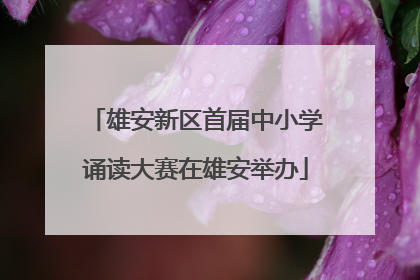 雄安新区首届中小学诵读大赛在雄安举办