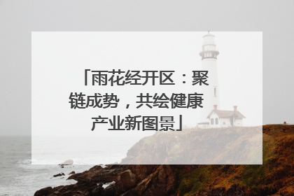 雨花经开区：聚链成势，共绘健康产业新图景