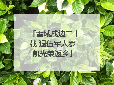 雪域戍边二十载 退伍军人罗凯光荣返乡
