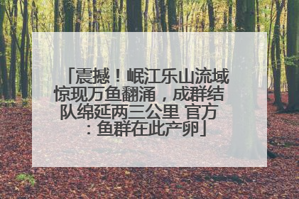 震撼！岷江乐山流域惊现万鱼翻涌，成群结队绵延两三公里 官方：鱼群在此产卵