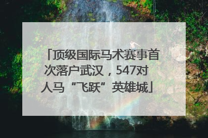 顶级国际马术赛事首次落户武汉，547对人马“飞跃”英雄城