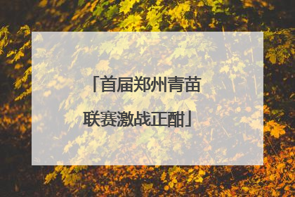 首届郑州青苗联赛激战正酣