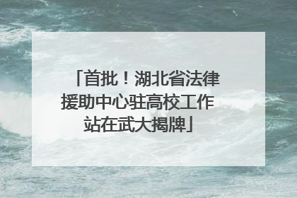 首批！湖北省法律援助中心驻高校工作站在武大揭牌