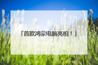首款鸿蒙电脑亮相！