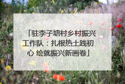 驻李子塘村乡村振兴工作队：扎根热土践初心 绘就振兴新画卷