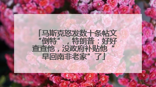 马斯克怒发数十条帖文“倒特”，特朗普：好好查查他，没政府补贴他“早回南非老家”了