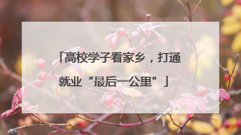 高校学子看家乡，打通就业“最后一公里”