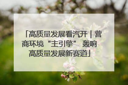 高质量发展看汽开｜营商环境“主引擎” 轰响高质量发展新赛道