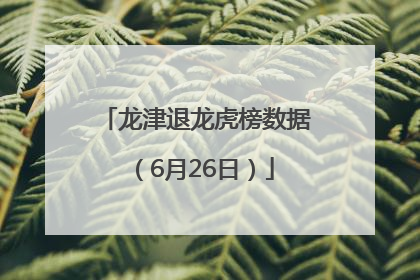 龙津退龙虎榜数据（6月26日）