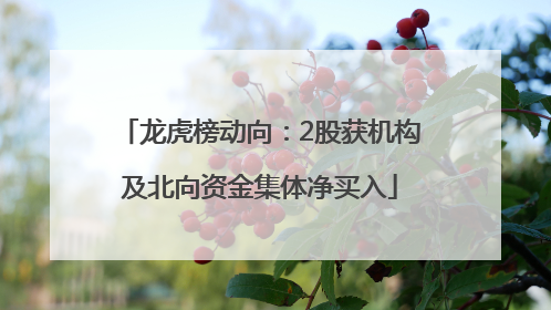 龙虎榜动向：2股获机构及北向资金集体净买入