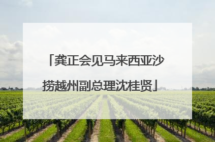龚正会见马来西亚沙捞越州副总理沈桂贤