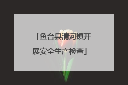 鱼台县清河镇开展安全生产检查