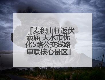 麦积山往返伏羲庙 天水市优化5路公交线路串联核心景区
