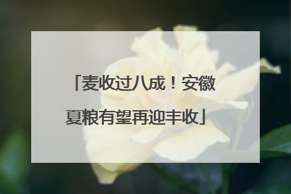 麦收过八成！安徽夏粮有望再迎丰收