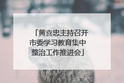 黄喜忠主持召开市委学习教育集中整治工作推进会