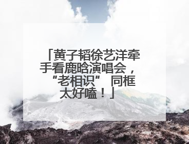 黄子韬徐艺洋牵手看鹿晗演唱会，“老相识” 同框太好嗑！