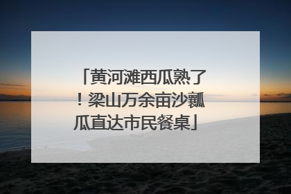 黄河滩西瓜熟了！梁山万余亩沙瓤瓜直达市民餐桌