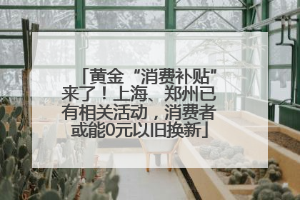 黄金“消费补贴”来了！上海、郑州已有相关活动，消费者或能0元以旧换新