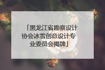 黑龙江省勘察设计协会冰雪创意设计专业委员会揭牌