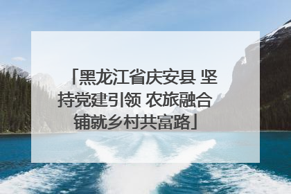 黑龙江省庆安县 坚持党建引领 农旅融合铺就乡村共富路